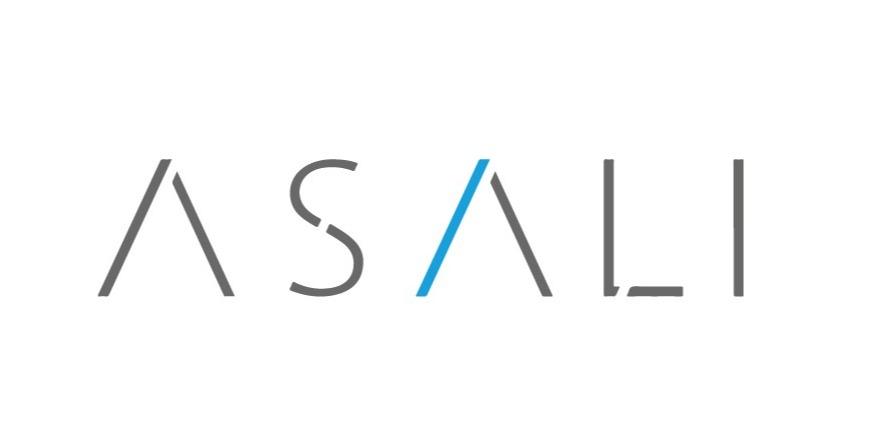ASALI Engineering Consulting & Project Management